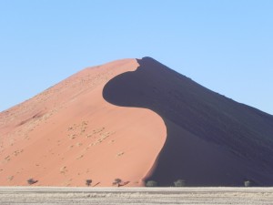 DSCN4341